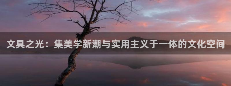 头号玩家龙八国际网址：文具之光：集美学新