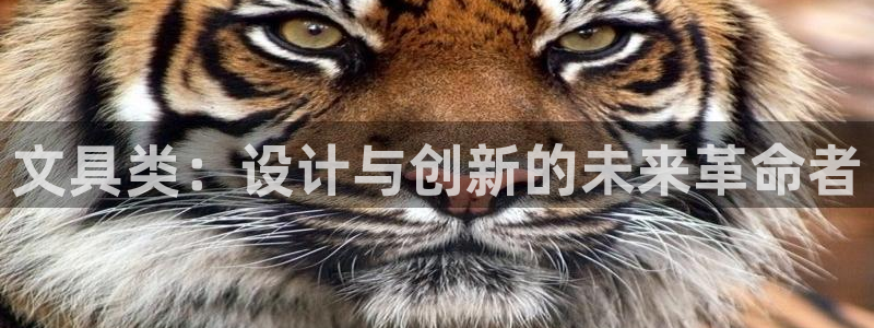 龙八国际版游戏