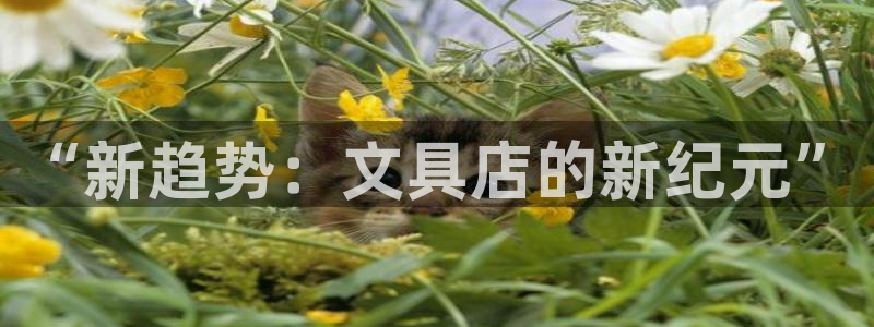 龙八国际app电话号码：“新趋势：文具店