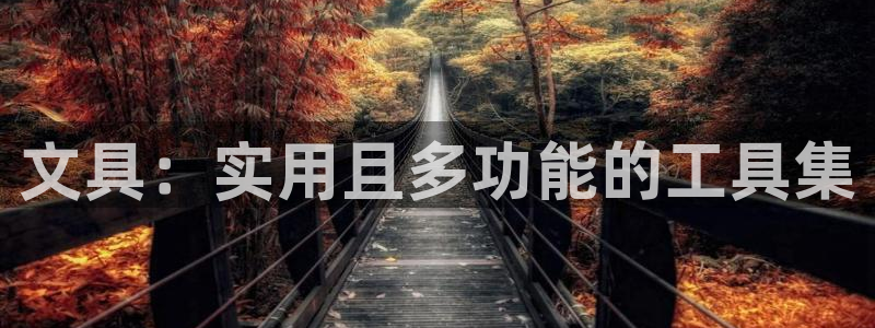 龙八国际app客户端下载安卓