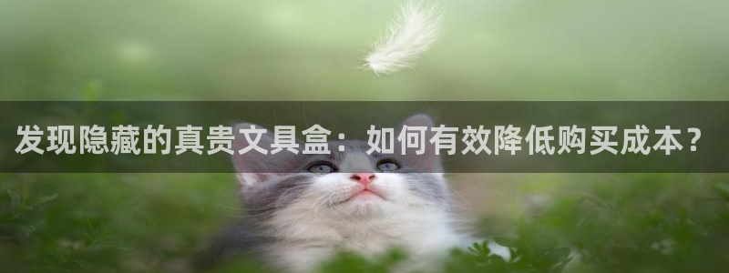 龙八国际游戏娱乐