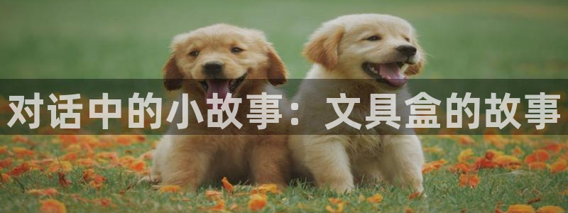 龙八国际优惠：对话中的小故事：文具盒的故