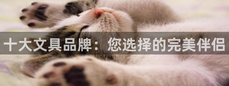 龙八国际交响乐：十大文具品牌：您选择的完