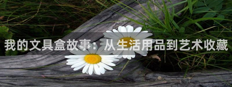 龙八国际app下载苹果：我的文具盒故事：