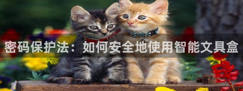 龙八国际服官网下载安装：密码保护法：如何