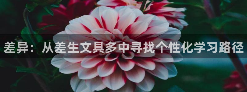 龙八国际官网入口