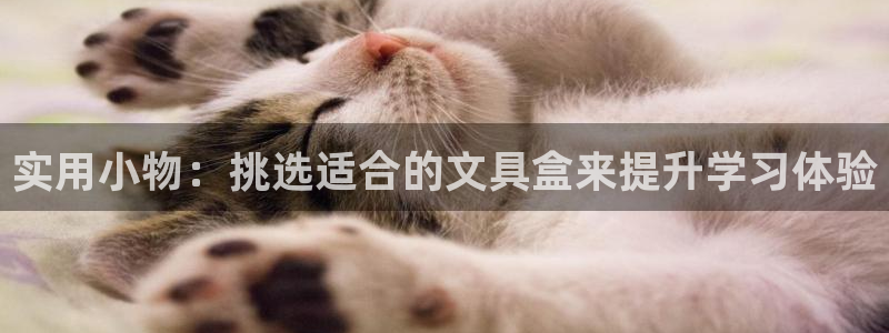 龙八国际官方网站手机版：实用小物：挑选适
