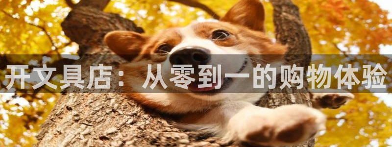 龙八国际pt娱乐老虎机