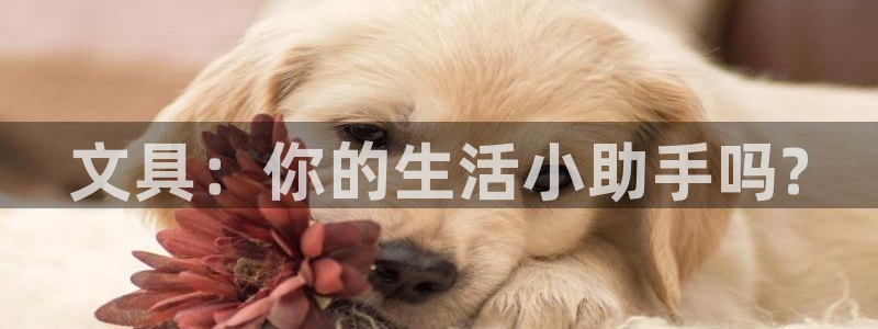 龙八国际游戏下载