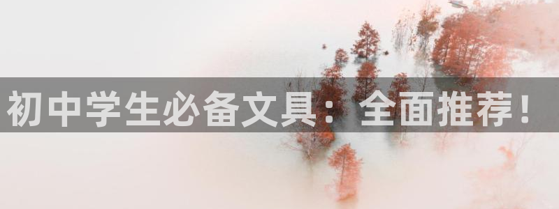 龙八国际2023：初中学生必备文具：全面