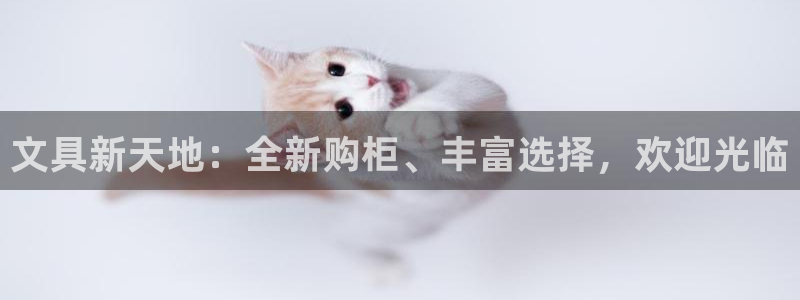 项目名称龙八国际：文具新天地：全新购柜、