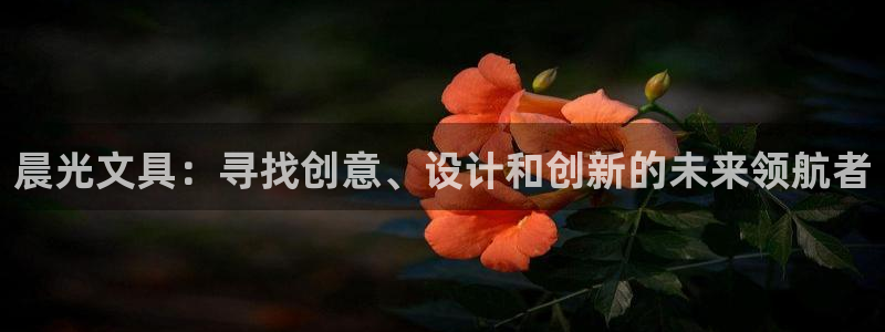 龙八国际登录注册：晨光文具：寻找创意、设