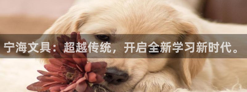 龙八国际官方网登录：宁海文具：超越传统，