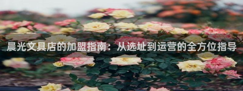 龙八国际官方登录网址：晨光文具店的加盟指