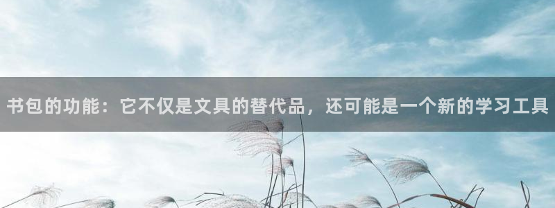 龙八国际黑不黑：书包的功能：它不仅是文具