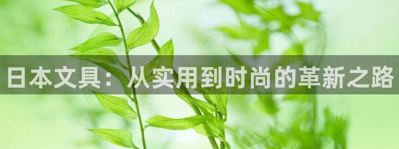 龙八国际花园宝宝：日本文具：从实用到时尚
