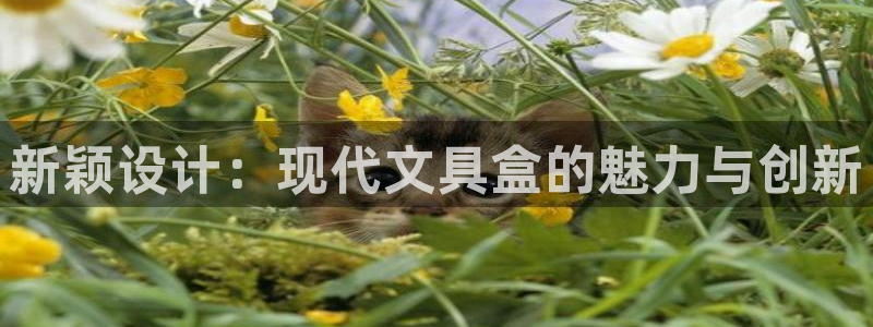 龙八国际娱乐官网多少：新颖设计：现代文具