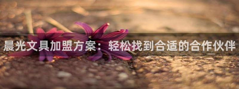 龙八国际地址：晨光文具加盟方案：轻松找到