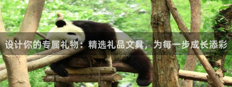 龙八国际app电话号码：设计你的专属礼物