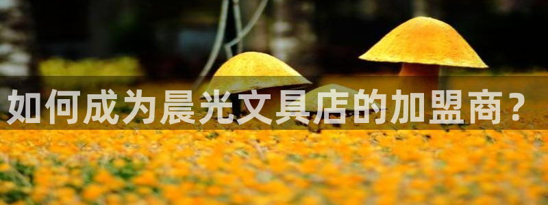 龙八国际游戏娱乐：如何成为晨光文具店的加