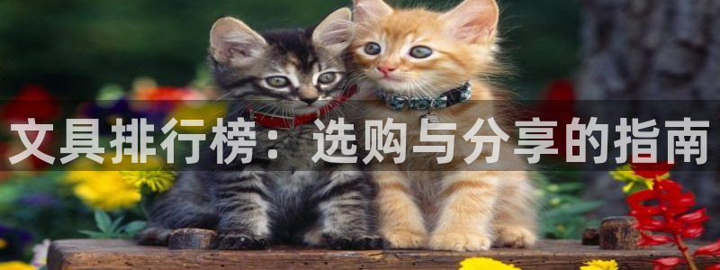 龙八国际赌博经验：文具排行榜：选购与分享