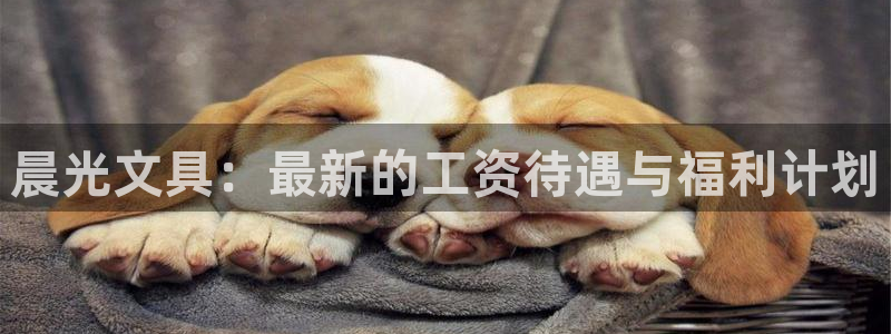 龙八国际官方网站pt：晨光文具：最新的工
