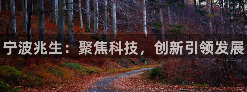 龙八国际官方网站入口：宁波兆生：聚焦科技