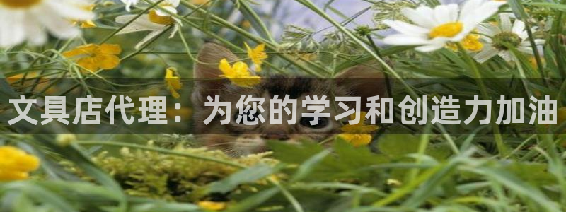 龙八国际手机版下载安装：文具店代理：为您