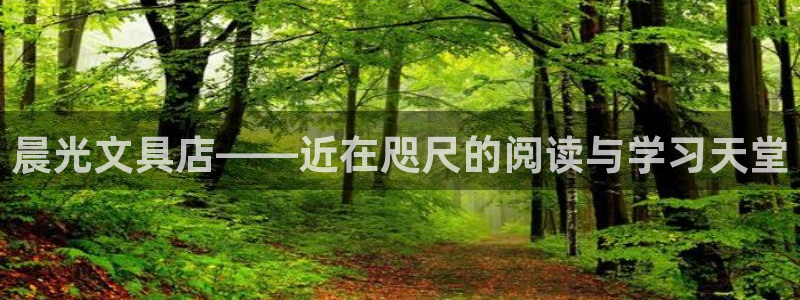 龙八国际app下载苹果：晨光文具店——近