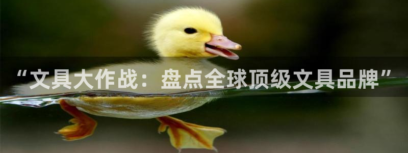 龙八国际游戏维护时间：“文具大作战：盘点
