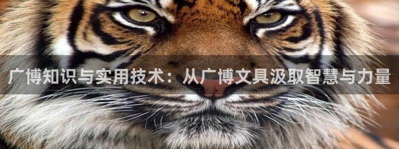 龙八国际娱乐官方网址：广博知识与实用技术
