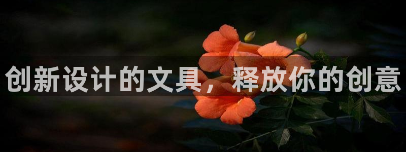 龙八国际网址是什么：创新设计的文具，释放