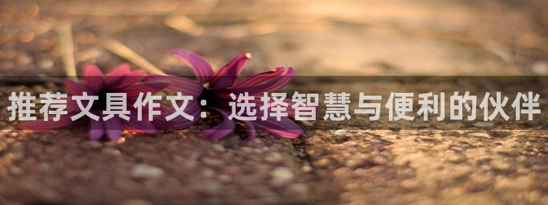 龙八国际我要登录：推荐文具作文：选择智慧