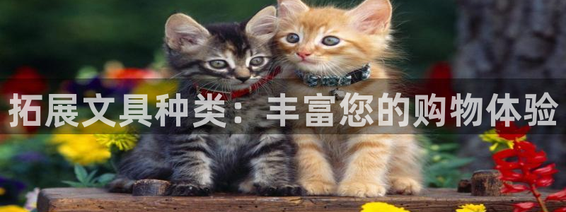 龙八国际彩金购买：拓展文具种类：丰富您的