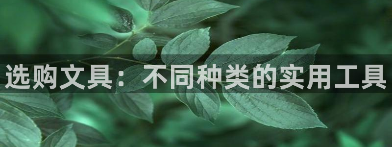 龙八国际头号玩家：选购文具：不同种类的实