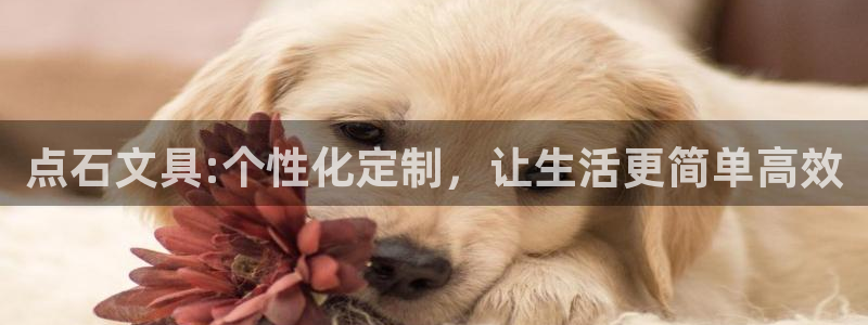 龙八国际下载：点石文具:个性化定制，让生