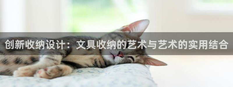 龙八国际pt娱乐老虎机：创新收纳设计：文