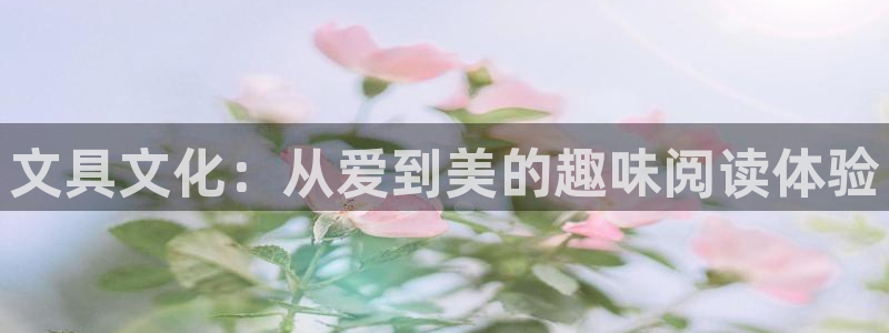 龙八国际娱乐靠谱吗：文具文化：从爱到美的