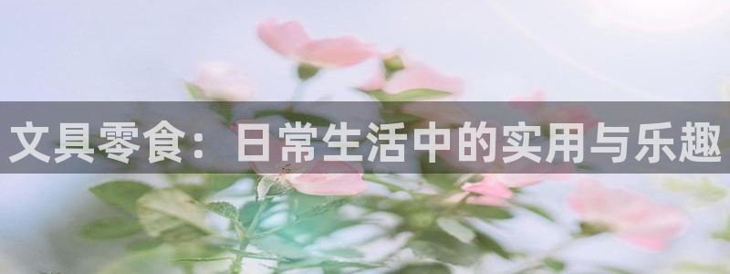 龙八国际手机版下载安卓：文具零食：日常生