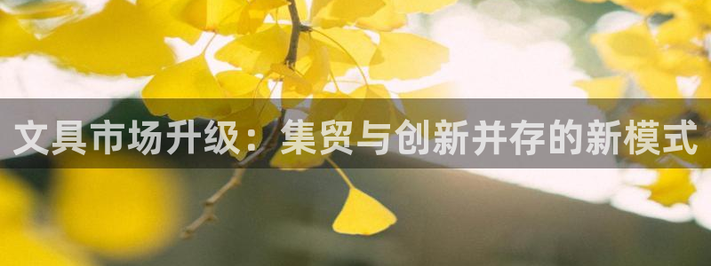 龙八国际优惠券有什么用：文具市场升级：集