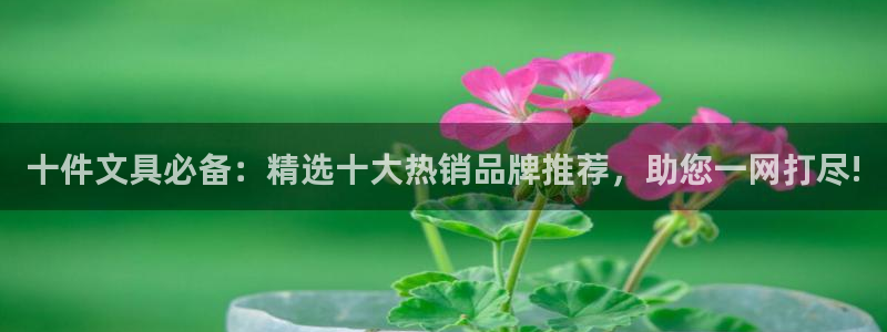 龙八国际网页long8.hn：十件文具必