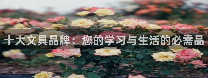 龙八国际服官网入口：十大文具品牌：您的学