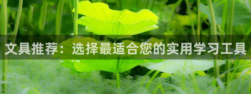 龙八国际平台下载：文具推荐：选择最适合您