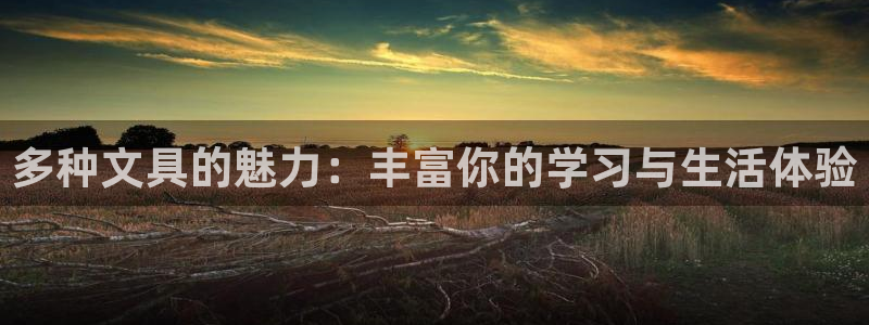 龙八国际官网安卓：多种文具的魅力：丰富你
