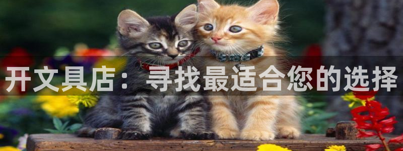 龙八国际娱乐靠谱吗：开文具店：寻找最适合