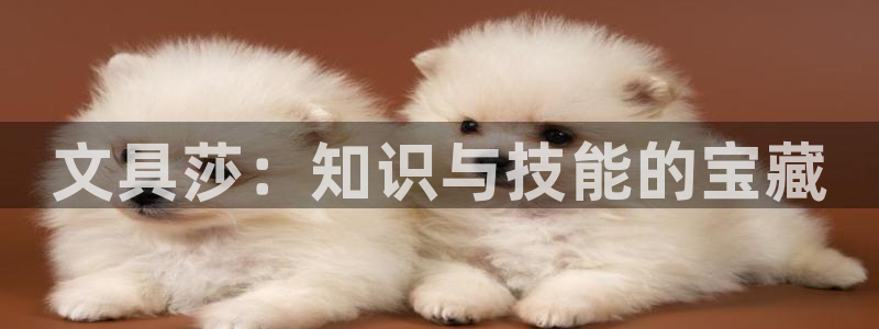 龙八国际管网登陆：文具莎：知识与技能的宝