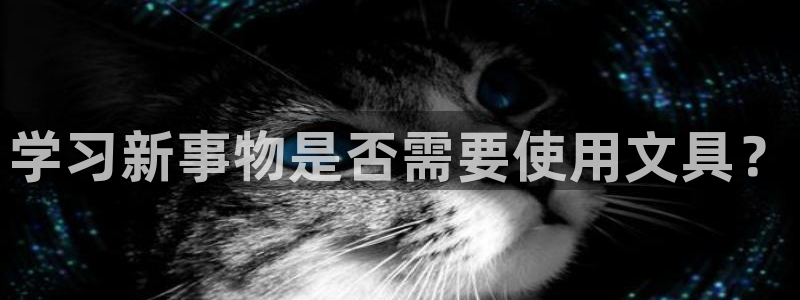 下载龙八国际网站：学习新事物是否需要使用