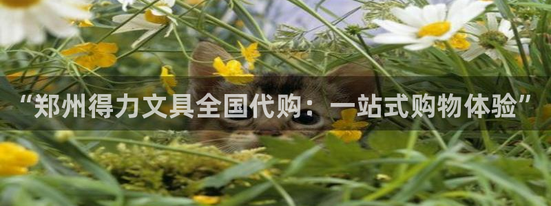 龙八国际long88：“郑州得力文具全国