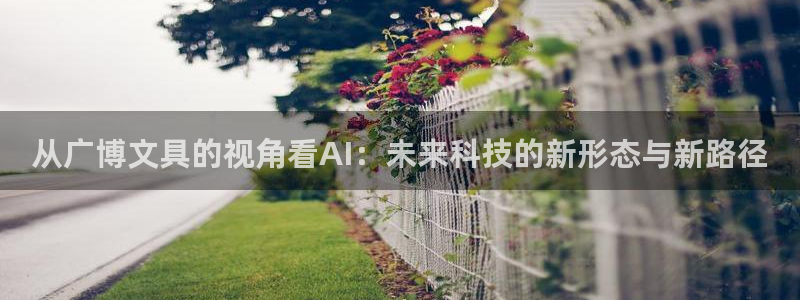 龙八国际app客户端下载安卓：从广博文具