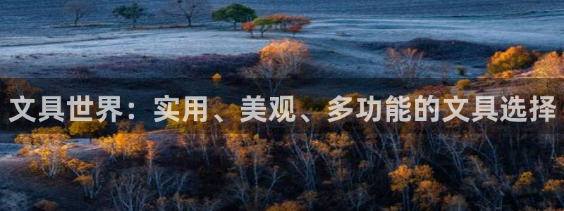 龙八国际公司是真是假：文具世界：实用、美